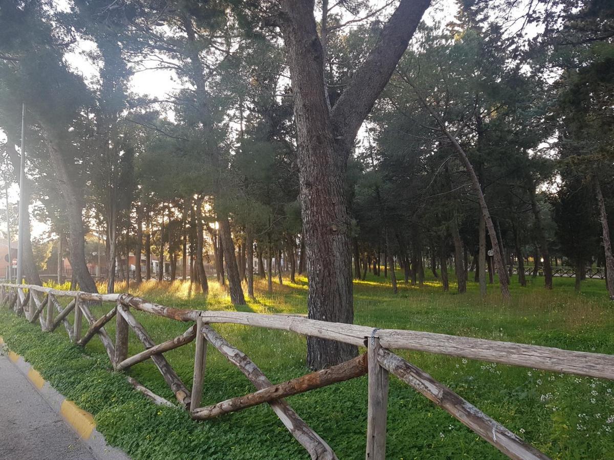 B&B La Pineta Quasani Ngoại thất bức ảnh
